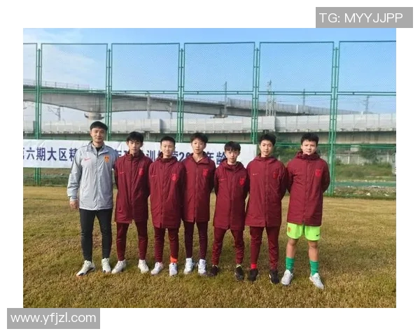 南京足球队实力强劲荣登全国足球力量排行榜第八名